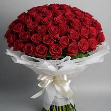 Букет 101 Красная роза Блэк Мэджик в Елабуге