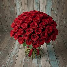 Букет 55 Красных роз Фридом #REPLACE_PRED# Елабуге