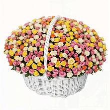 Премиум букет из: Розы в Елабуге