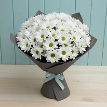 Букет цветов из:  Хризантемы в Елабуге