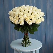 Букет 51 Белая роза Эдлесс Лав #REPLACE_PRED# Елабуге