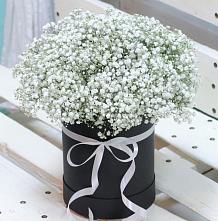 Цветочная композиция из Гипсофила в шляпной коробке #REPLACE_PRED# Елабуге