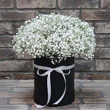 Цветочная композиция из Гипсофила в шляпной коробке в Елабуге