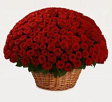 Премиум букет из: Розы #REPLACE_PRED# Елабуге